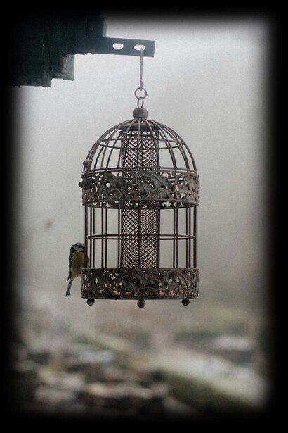 Caged bird: caged memories are like enslaved birds