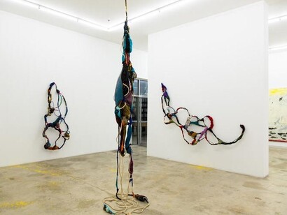 New Shamans, Novos Xamãs: ​Brazilian Artists, Exhibition view. Courtesy of Rubell Family Collection