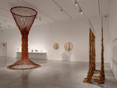 Aurèlia Muñoz, Entes, vista de exhibición. Cortesía del Museo Nacional Centro de Arte Reina Sofía