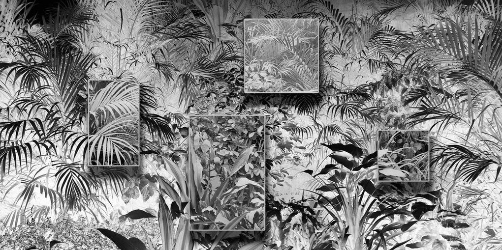 Ji Zhou. Courtesy of Klein Sun Gallery