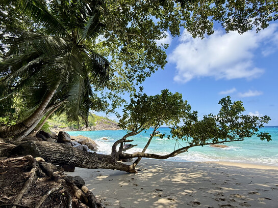 Hilton Seychelles Northolme Resort & Spa, Beau Vallon, Mahé, Seychelles