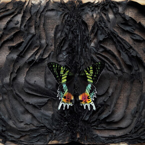 Enrique Moya Gonzalez. Courtesy of Galleria D'Arte Triphè