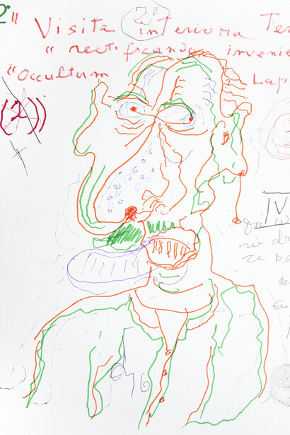 Gillo Dorfles, Vitriol 2