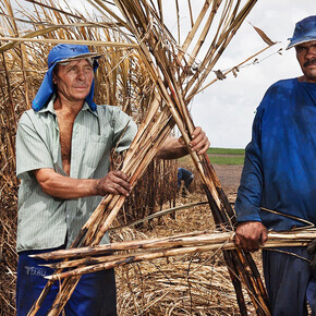 Jonathas de Andrade: Visões do Nordeste. Courtesy of Museo Jumex