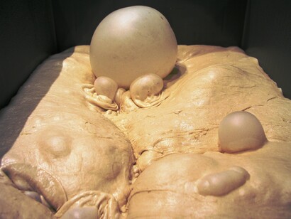 Fermentazione del malto