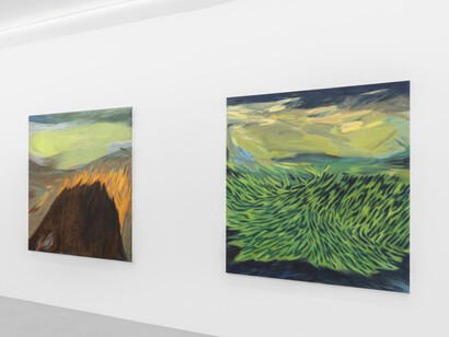 Bárbara Faden, Exhaling blue, sky of the mouth, exhibition view. Courtesy of Balcony Contemporary Art Gallery