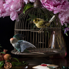 Paulette Tavormin. Courtesy of Robert Mann Gallery