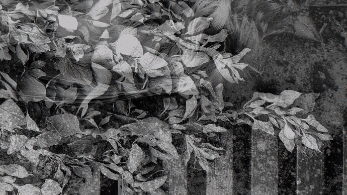 Augusta Wood. Courtesy of Denk gallery