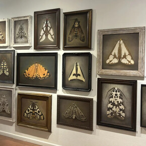 Kate Breakey and Samuel James, To the dark and the endless skies, exhibition view. Courtesy of Etherton Gallery