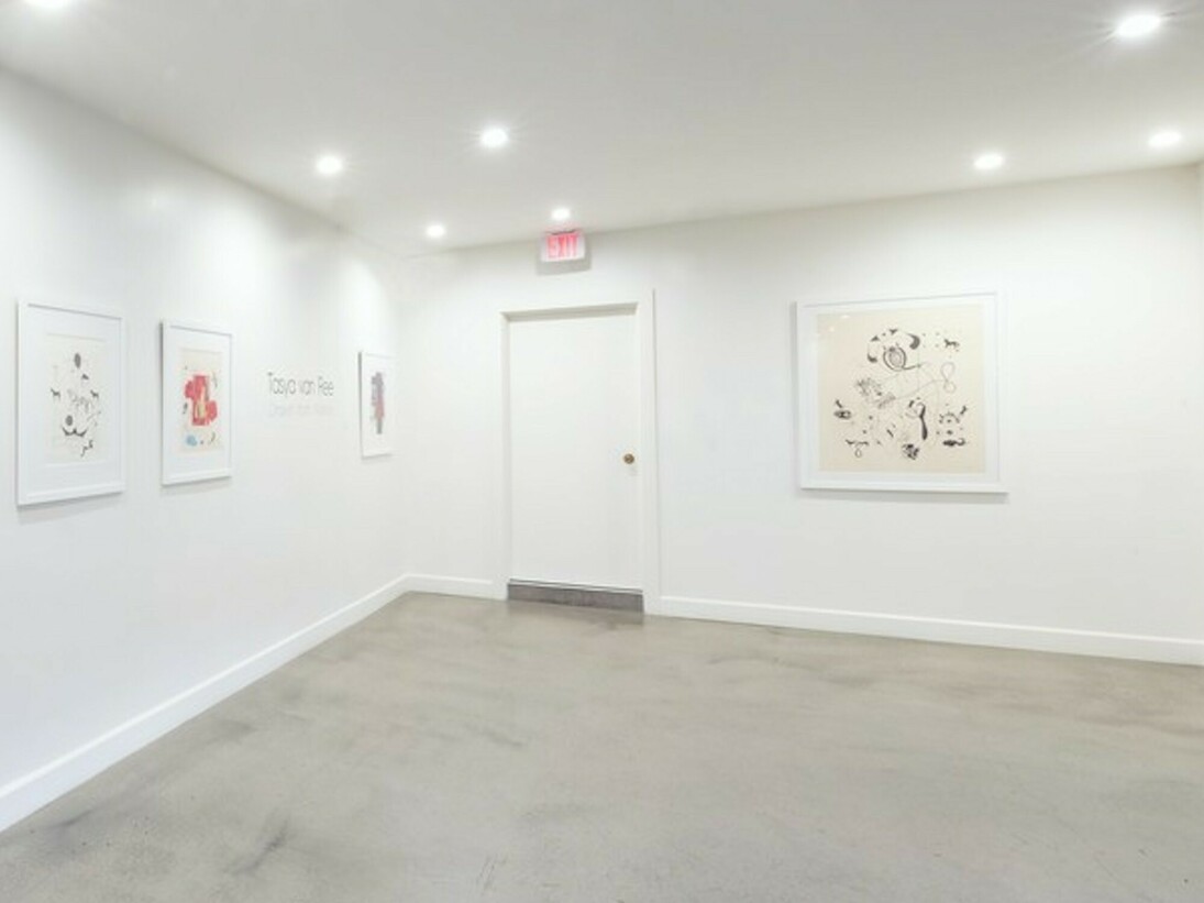 Tasya van Ree, Exhibition view. courtesy of Eric Buterbaugh Gallery