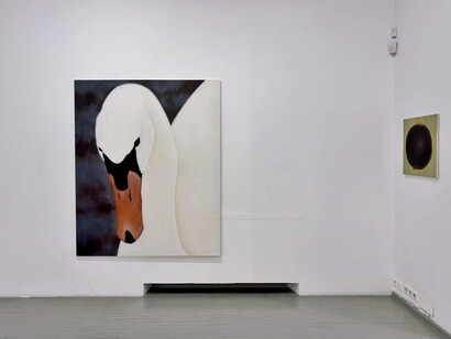 Liucija Pačkauskaitė, Sparkles, exhibition view. Courtesy of Galerija Vartai