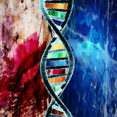 Francesco Bertucci, DeoxyriboNucleicAcid