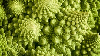 È sicuramente un consiglio salutare che i cavoli siano frequentemente presenti nei nostri pasti