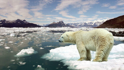 Le conseguenze del riscaldamento globale