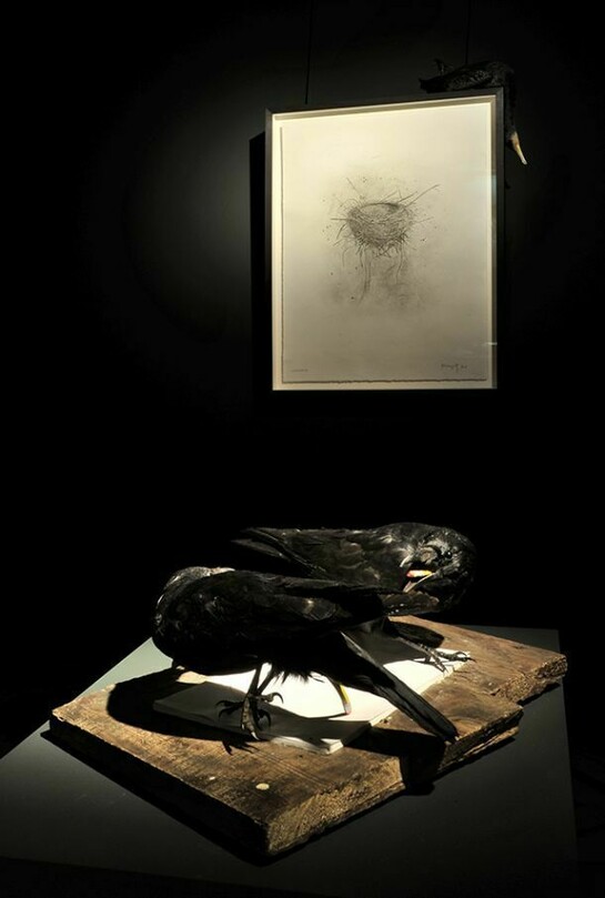 Polly Morgan, Foreground: Stop Staring, 22 x 49 x 38 cm, Stuffed Ravens and Jesmonite. Background: Cormorant, 100 x 90 x 22 cm, Cormorant embalmed, paper and ash