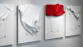 Senza titolo 2013 (part.). Termoformatura in polistirene, smalto, grafite su tela, cm 60x70x10 cad. Courtesy Gowen Contemporary, Ginevra.
