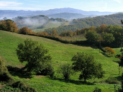 Maremma