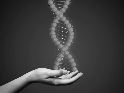 A hand holding a symbolic representation of DNA, emblematic of genetic research and scientific inquiry