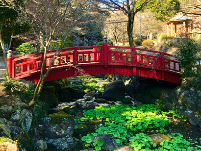 Koufu (floating fragrance) Bridge, Atami Plum Garden, Shizuoka, Japan © Alma Reyes