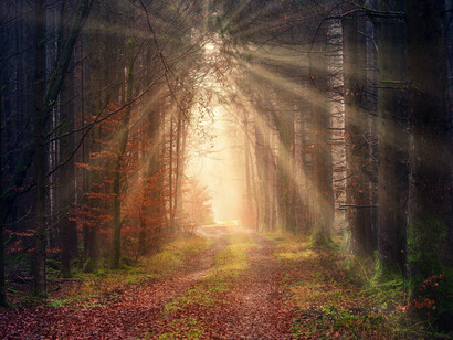 A teoria sobre o mito poderia constituir ela própria um mito sobre  a origem do mito