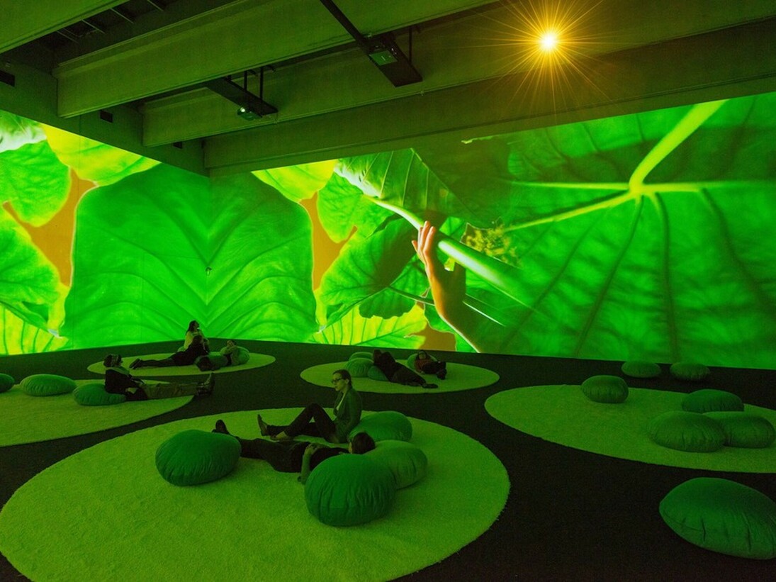 Pipilotti Rist, Gnade Donau Gnade (Mercy Danube Mercy), 2013-2015. Courtesy of New Museum