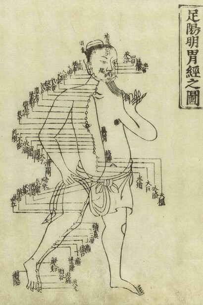 Stomach meridian