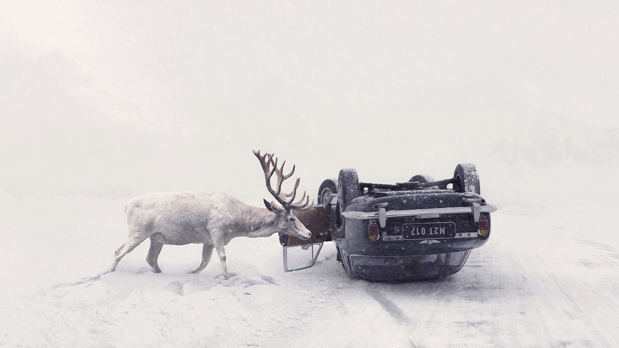Martin Stranka, 2017, "Hasta que despiertes"