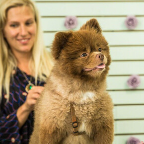 Caroline Larsen. Courtesy of Wallplay