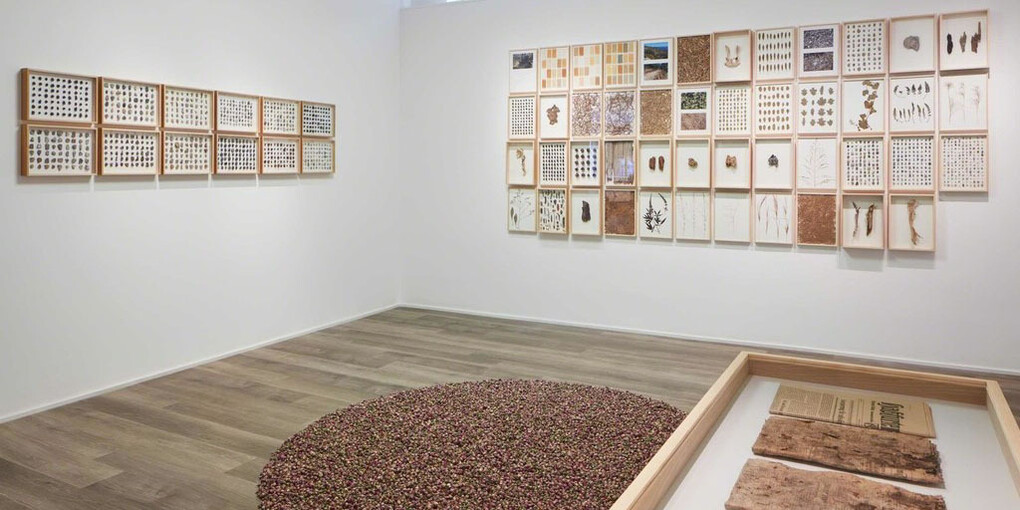 Herman De Vries, Exhibition view. Courtesy of Cortesi Gallery