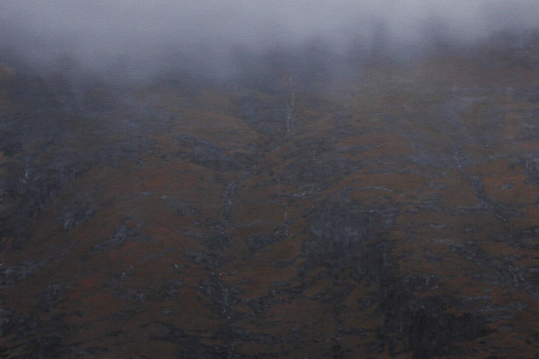 CWM Dyli, Oil on canvas, 2014, 200 x 185 cm