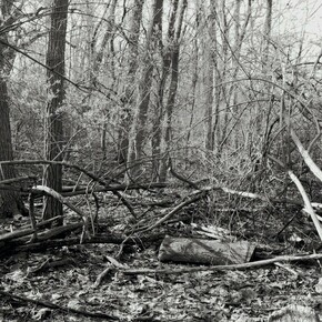 Lawrence Beck, exhibition view. Courtesy of ART 3 gallery