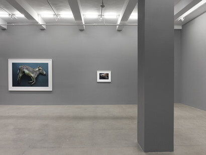 Thomas Struth. Courtesy of Marian Goodman Gallery