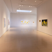 Alex Katz: Flowers at McClain Gallery, installation view, photo by Allyson Hunstman. Courtesy of McClain Gallery, Houston, Texas