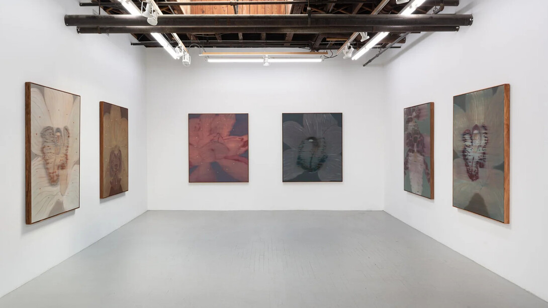 Heath Wae, Mineral meridian, exhibition view. Courtesy of Carvalho Park