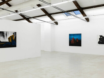Gustavo Nazareno, exhibition view. Courtesy of Cassina Projects