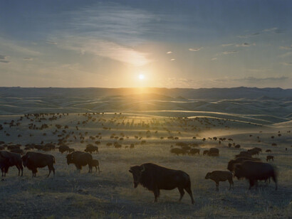 Andrew Moore. Courtesy of Kopeikin Gallery
