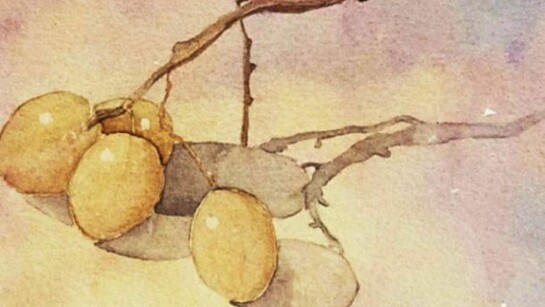 Mariella Busi De Logu, Three Grapes