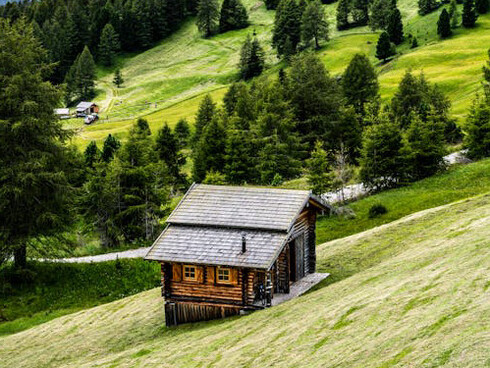 Amidst the vibrant greenery, the cabin stands as a reminder that moments of solitude and introspection can lead to profound personal insights