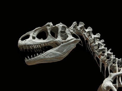 Il legame tra quell'estinzione di massa e l'impatto di un asteroide venne teorizzato da Luis Alvarez