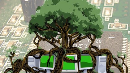 Cuidando la naturaleza desde el ordenador