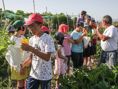 Bambini di Fukushina nell'Orto dei Sogni