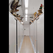 Denise Bertschi. Courtesy of Aargauer Kunsthaus