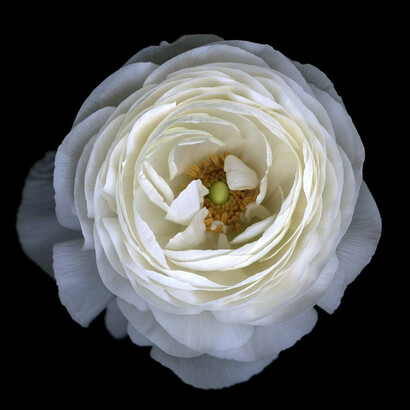 Katinka Matson. Courtesy of Eric Buterbaugh