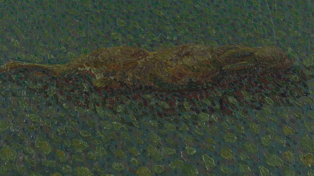Timothy Lai, Flopped rabbit. Courtesy of Josh Lilley Gallery