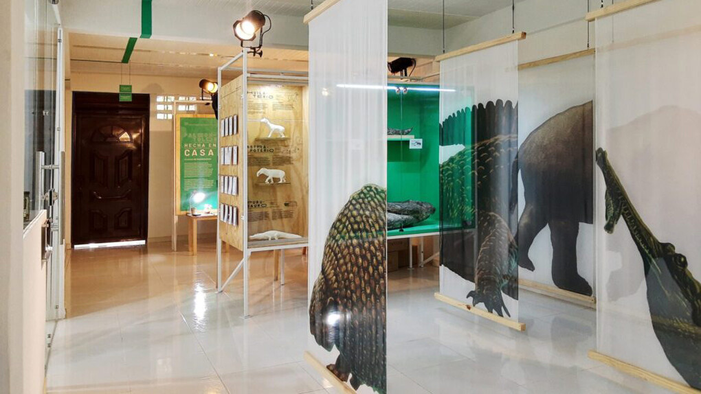 Territorio fósil, vista de exhibición. Cortesía del Museo de Historia Natural La Tatacoa