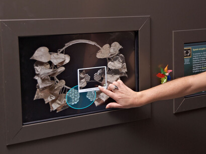 Macedonia. From fragments to pixels, exhibition view. Courtesy of Archaeological Museum of Thessaloniki