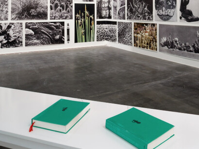 Deutsche Börse Photography Foundation Prize 2018. Courtesy of MMK3