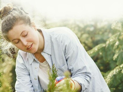 Woman cultivating crops