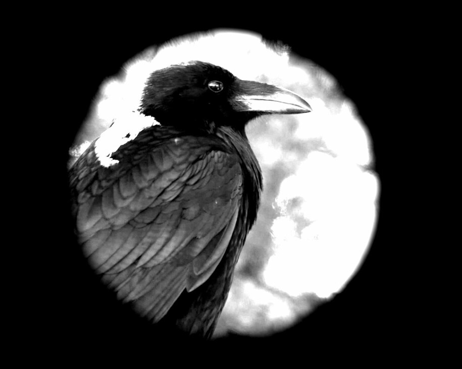 Kushapetshekan / Kosapitcikan. Courtesy of Montreal Museum of Fine Arts