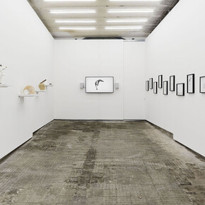 Bedwyr Williams. Huuuuuuge Thanks! Exhibition view. Courtesy of Frutta 